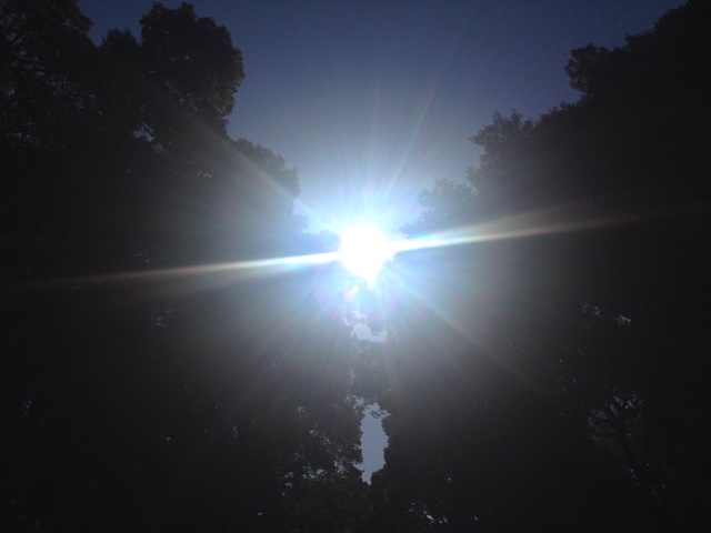 f:id:uguisu79:20151206160140j:plain f:id:uguisu79:20151206160140j:plain