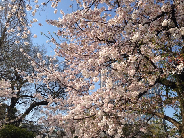 f:id:uguisu79:20160220234257j:plain f:id:uguisu79:20160220234257j:plain