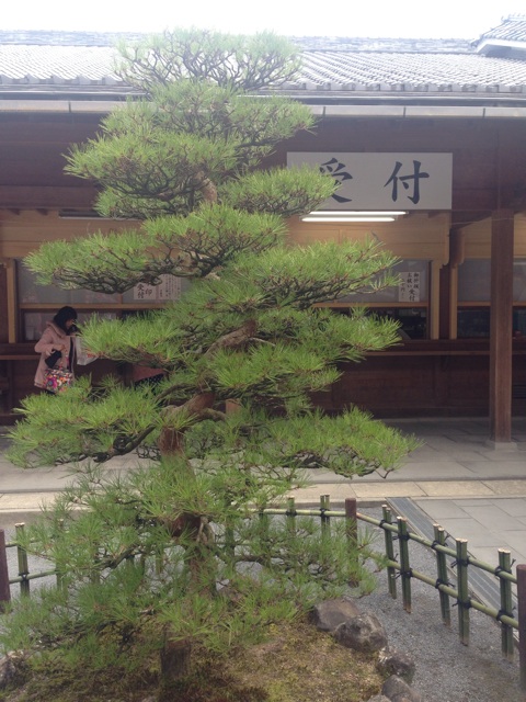 f:id:uguisu79:20160303215027j:plain f:id:uguisu79:20160303215027j:plain