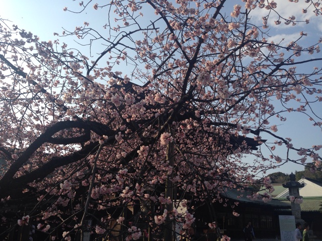 f:id:uguisu79:20160312210935j:plain f:id:uguisu79:20160312210935j:plain