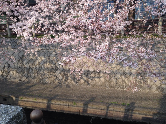 f:id:uguisu79:20160403135802j:plain f:id:uguisu79:20160403135802j:plain