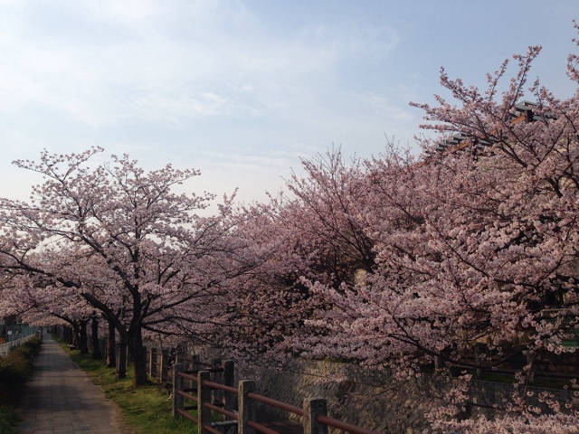 f:id:uguisu79:20160403135821j:plain f:id:uguisu79:20160403135821j:plain