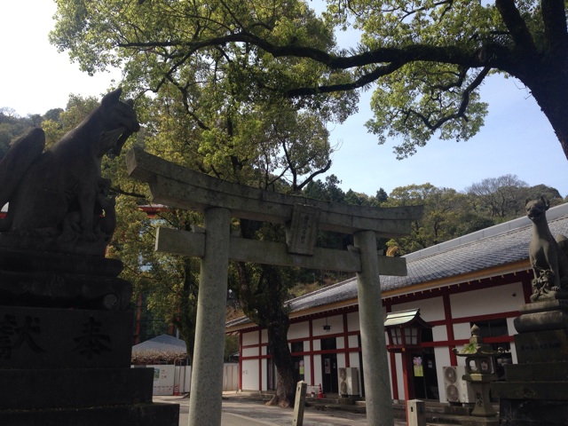 f:id:uguisu79:20160411231432j:plain f:id:uguisu79:20160411231432j:plain