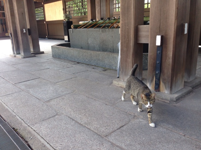 f:id:uguisu79:20160503155316j:plain f:id:uguisu79:20160503155316j:plain