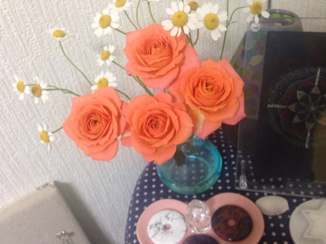 f:id:uguisu79:20160522213059j:plain f:id:uguisu79:20160522213059j:plain