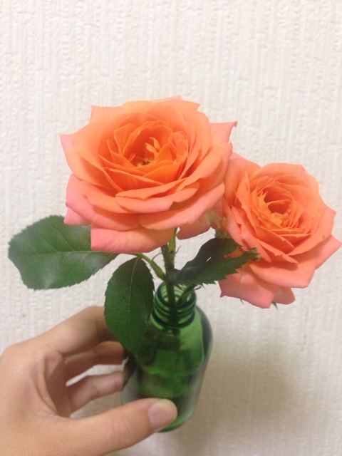 f:id:uguisu79:20160522215737j:plain f:id:uguisu79:20160522215737j:plain