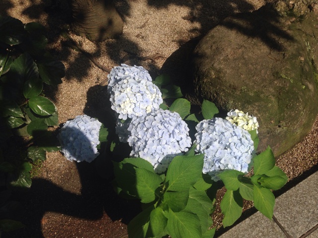 f:id:uguisu79:20160530232132j:plain f:id:uguisu79:20160530232132j:plain
