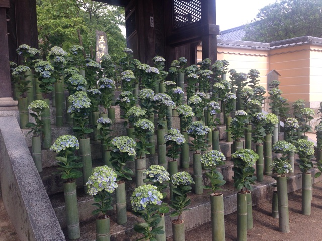 f:id:uguisu79:20160611233247j:plain f:id:uguisu79:20160611233247j:plain