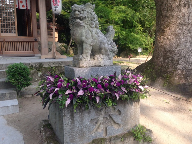 f:id:uguisu79:20160612001828j:plain f:id:uguisu79:20160612001828j:plain
