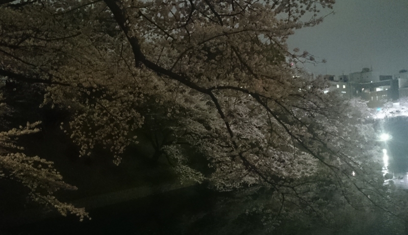 f:id:uhe_uhe_uhe:20140402201548j:plain f:id:uhe_uhe_uhe:20140402201548j:plain