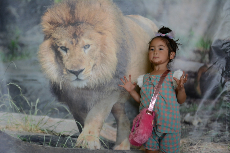 f:id:uhi69:20150621183952j:plain