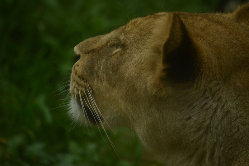 f:id:uhi69:20150621184006j:plain