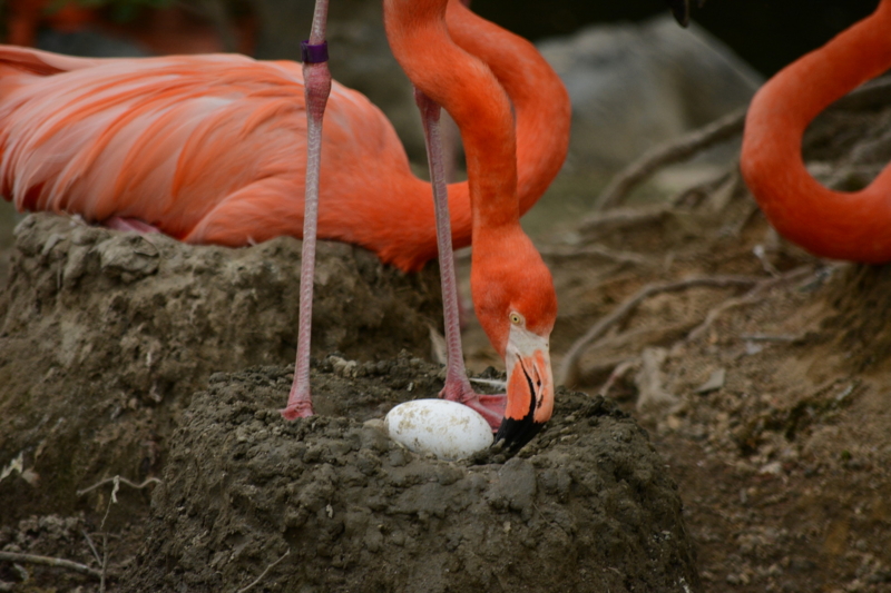 f:id:uhi69:20150621184042j:plain