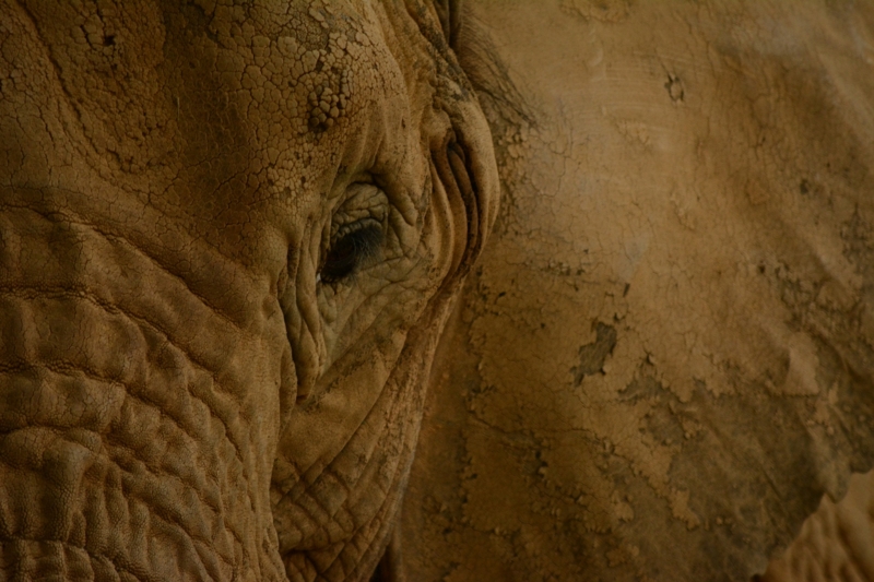 f:id:uhi69:20150621184541j:plain