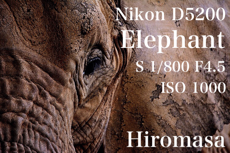 f:id:uhi69:20150623184429j:plain