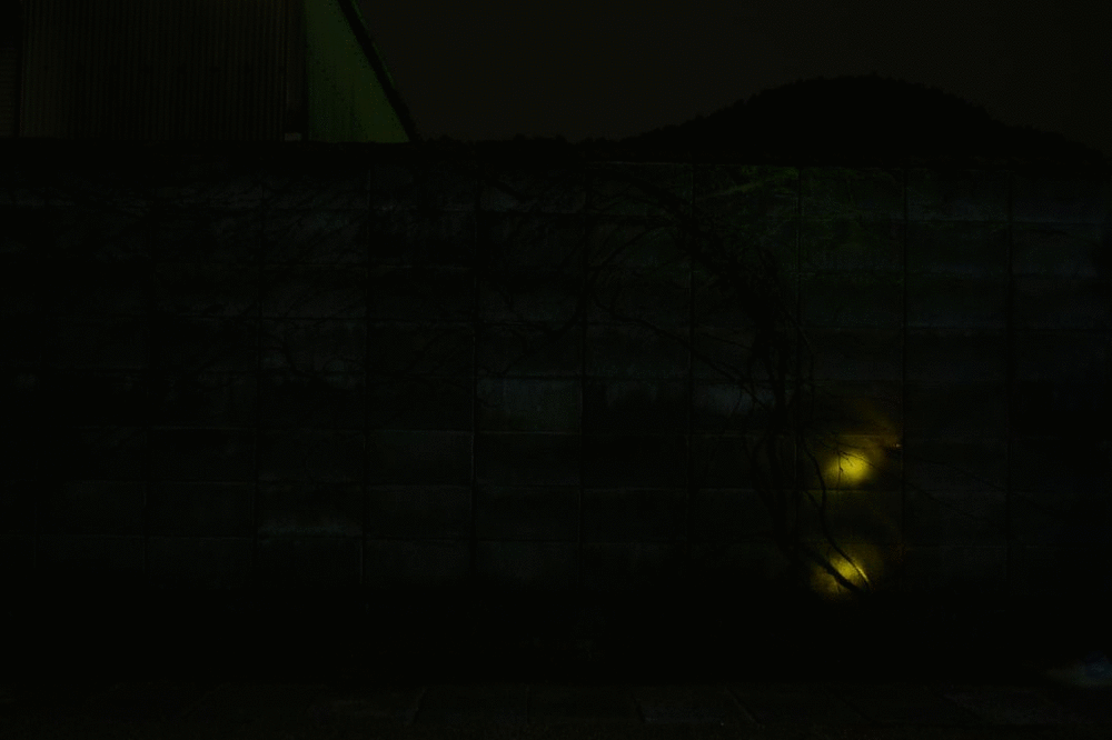 f:id:uhi69:20150717234019g:plain