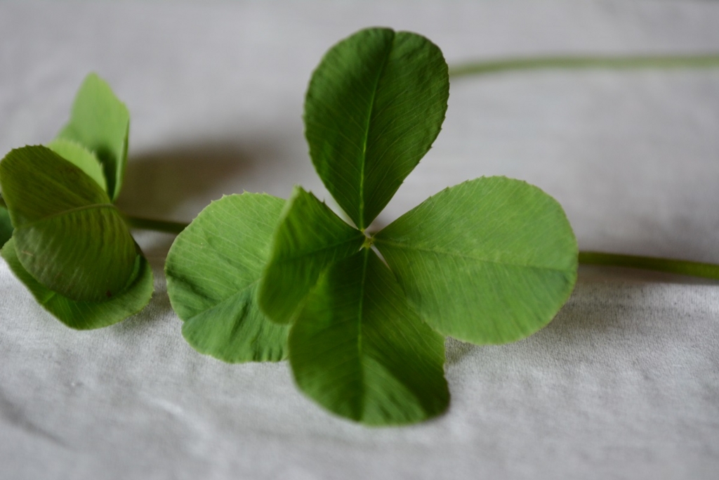 f:id:uhi69:20150724200742j:plain