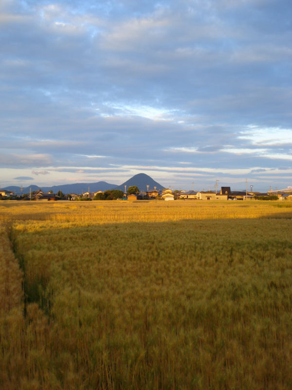 f:id:ujikenorio:20170711122759j:image f:id:ujikenorio:20170711122759j:image