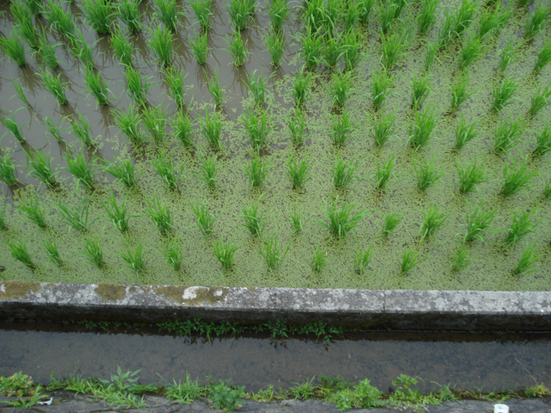 f:id:ujikenorio:20170711123105j:image f:id:ujikenorio:20170711123105j:image