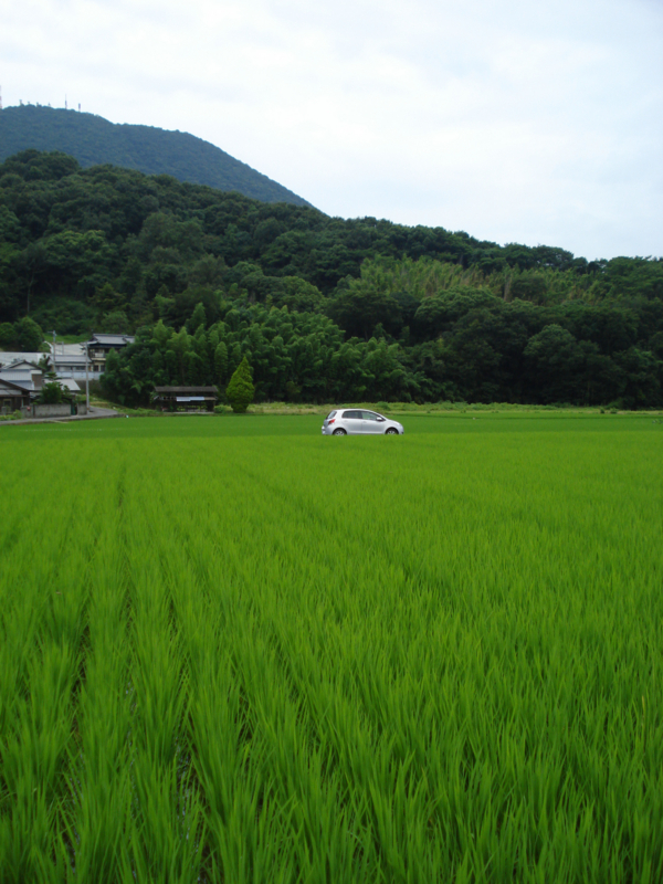 f:id:ujikenorio:20170711123114j:image f:id:ujikenorio:20170711123114j:image