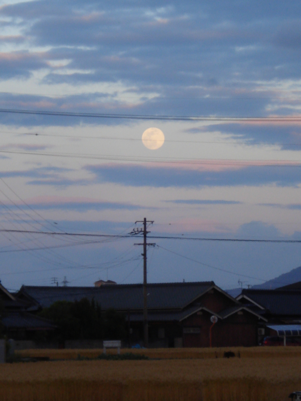 f:id:ujikenorio:20170711123122j:image f:id:ujikenorio:20170711123122j:image