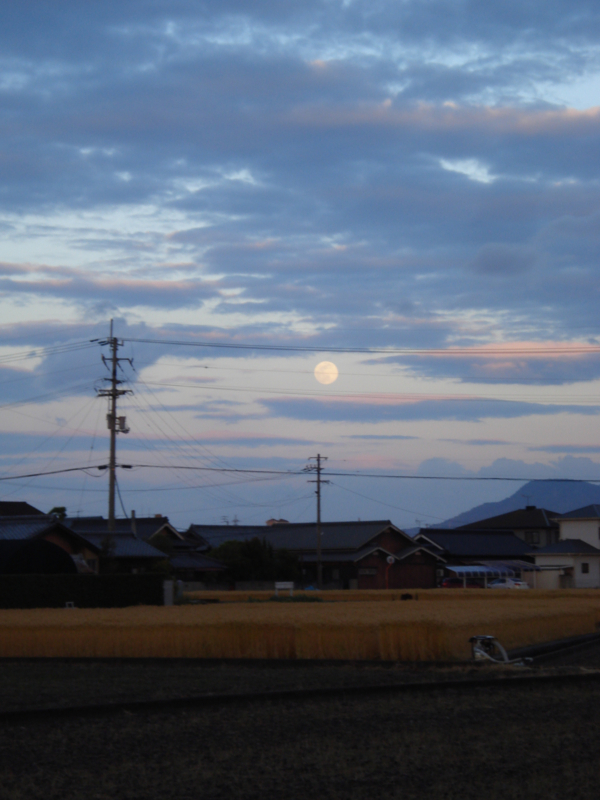 f:id:ujikenorio:20170711123131j:image f:id:ujikenorio:20170711123131j:image