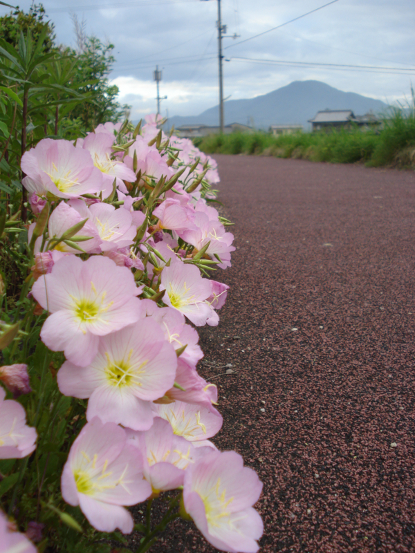 f:id:ujikenorio:20170711123632j:image f:id:ujikenorio:20170711123632j:image