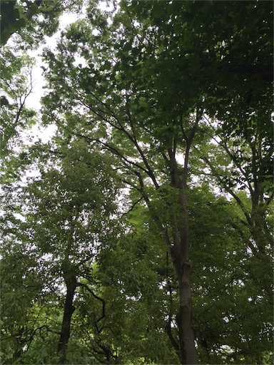 f:id:ukbeat:20160506115708j:image f:id:ukbeat:20160506115708j:image