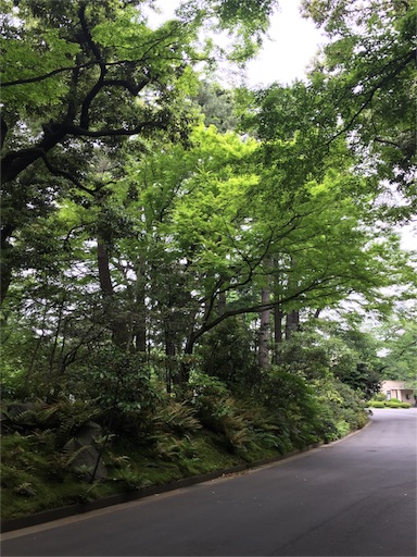 f:id:ukbeat:20160506115809j:image f:id:ukbeat:20160506115809j:image