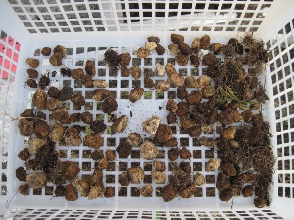 f:id:ukki0309:20160501181121j:plain