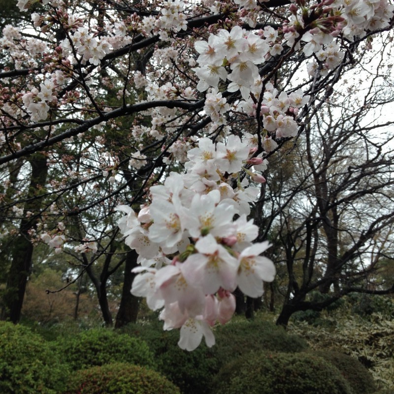 f:id:ulala_roo:20140330131157j:plain