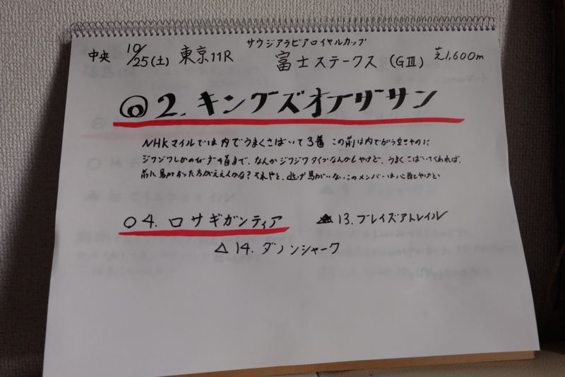 f:id:umagohan:20141025104914j:plain