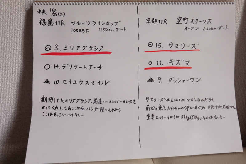 f:id:umagohan:20141025104935j:plain