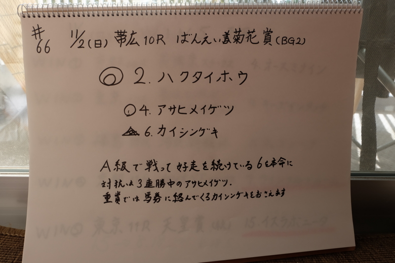 f:id:umagohan:20141102085727j:plain