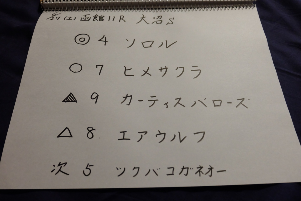 f:id:umagohan:20150627024358j:plain