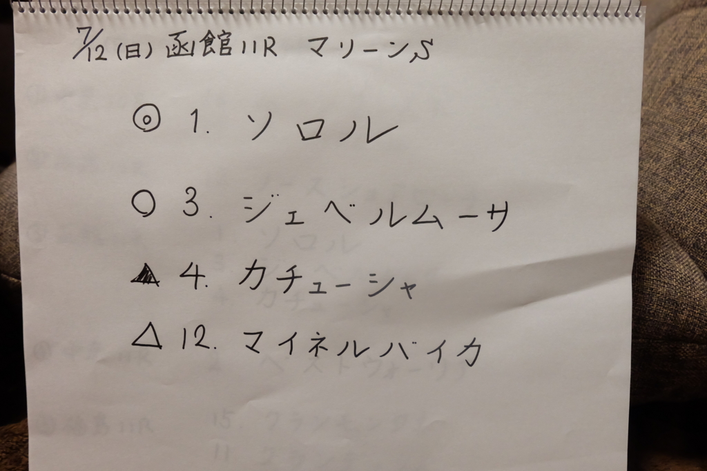 f:id:umagohan:20150711233351j:plain