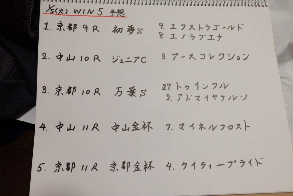 f:id:umagohan:20160104224023j:plain