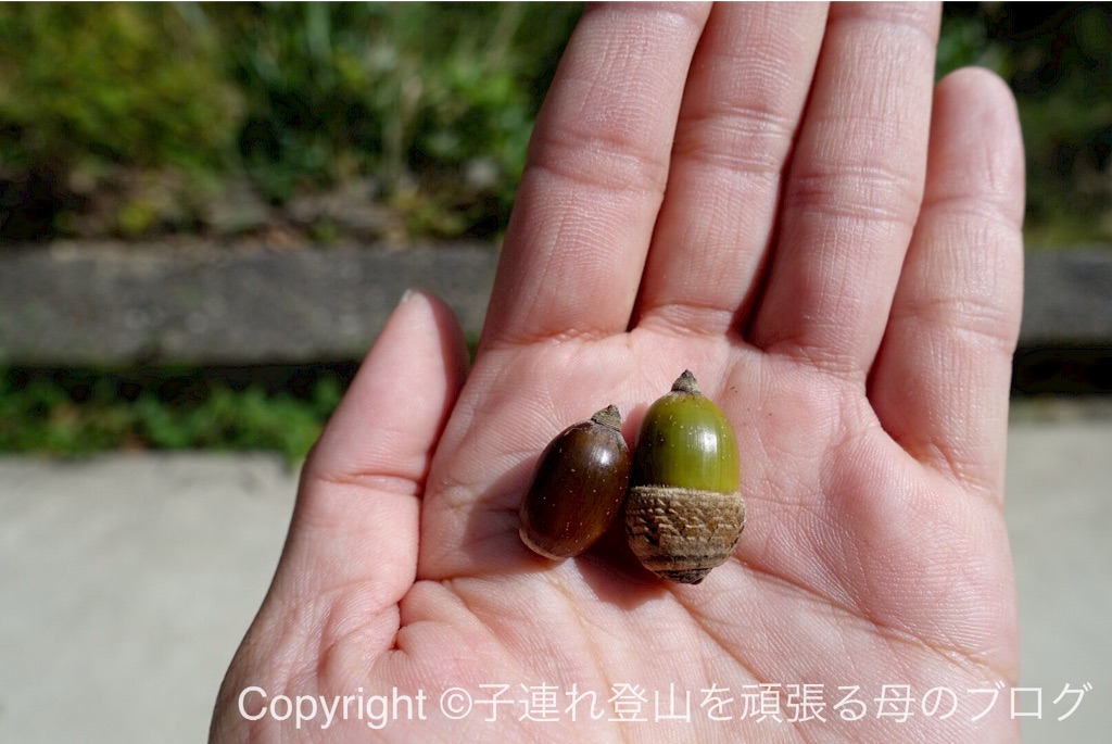 f:id:umako66:20151014210930j:image f:id:umako66:20151014210930j:image