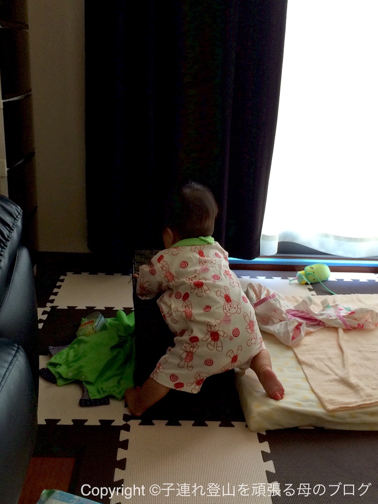 f:id:umako66:20151017105012j:image f:id:umako66:20151017105012j:image