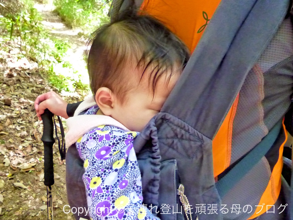 f:id:umako66:20151017105317j:image f:id:umako66:20151017105317j:image