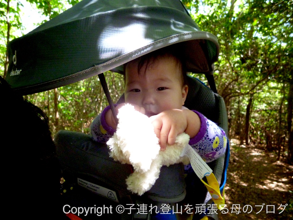 f:id:umako66:20151017112110j:image f:id:umako66:20151017112110j:image