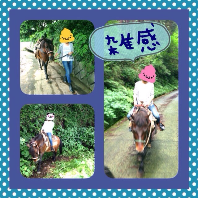 f:id:umalog:20140923234746j:plain f:id:umalog:20140923234746j:plain
