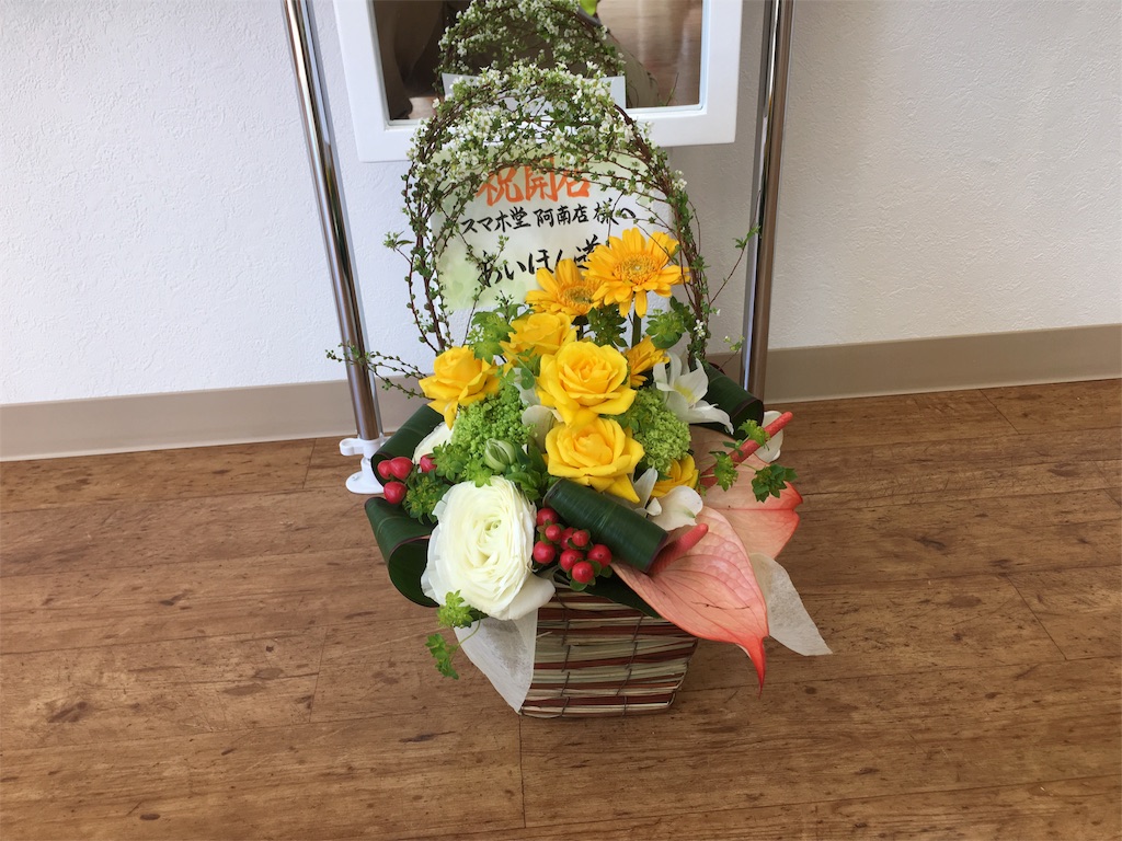 f:id:umeboshid:20160316161159j:image f:id:umeboshid:20160316161159j:image