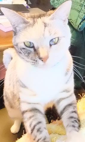 f:id:umediary:20130701132149j:plain f:id:umediary:20130701132149j:plain