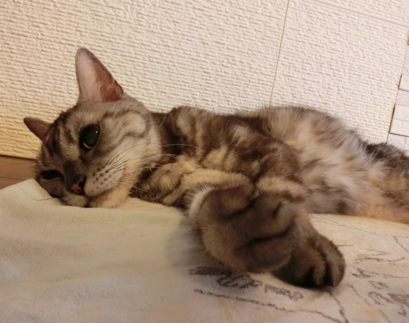 f:id:umediary:20140708071417j:plain f:id:umediary:20140708071417j:plain