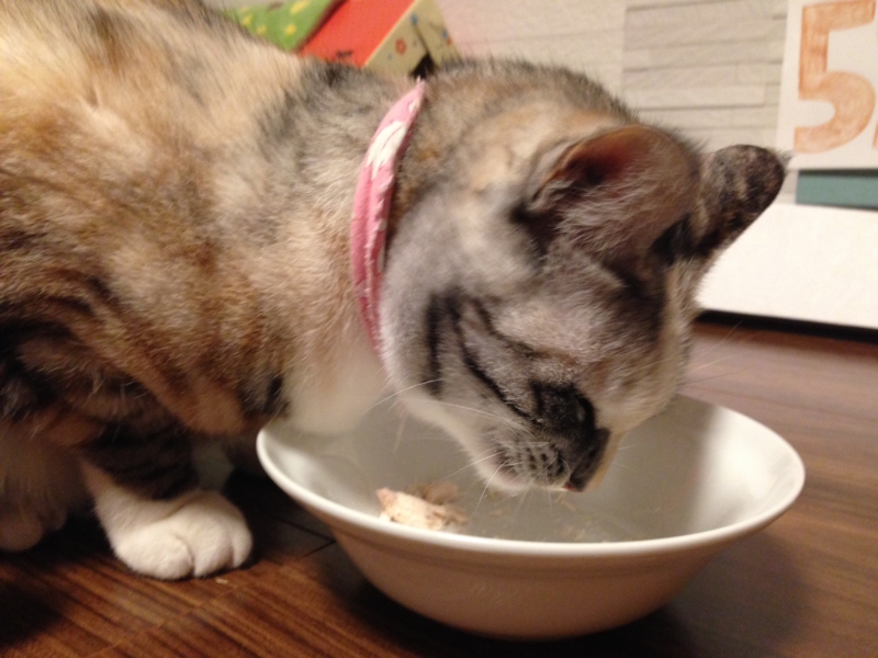 f:id:umediary:20150221213611j:plain