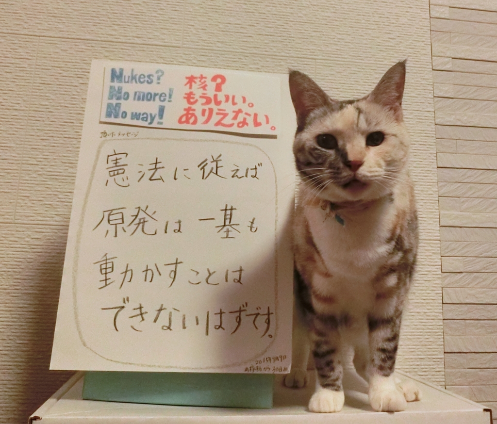 f:id:umediary:20150909234450j:plain