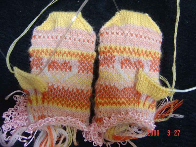 f:id:umehorn:20090327205808j:image f:id:umehorn:20090327205808j:image