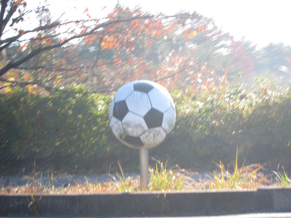 f:id:umelabo:20140129221413j:plain