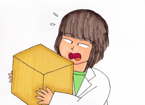 f:id:umenomi-gakuen:20140812135109j:plain f:id:umenomi-gakuen:20140812135109j:plain